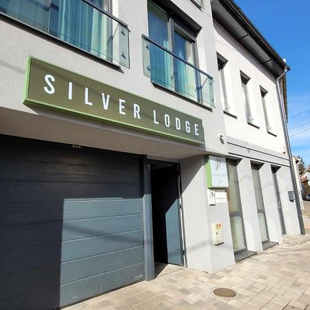 Silver Lodge Apartments Eger Buitenkant foto